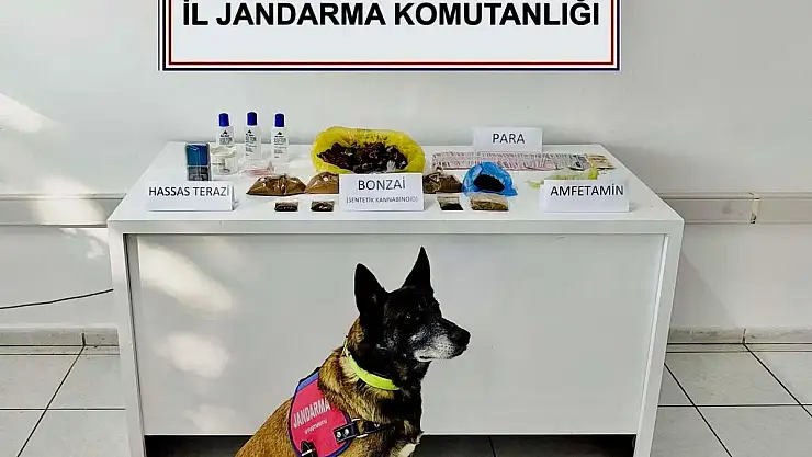 Uyuşturucu Operasyonunda 2 Kişi Yakalandı