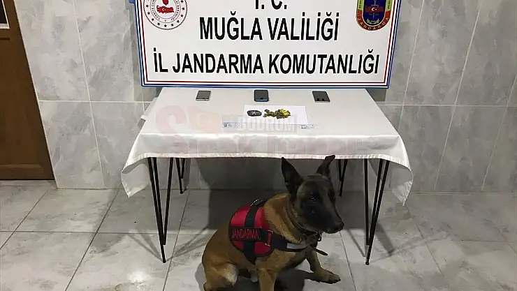 Uyuşturucu Operasyonunda 3 Şüpheli Yakalandı