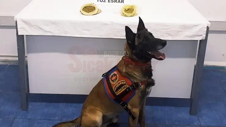Uyuşturucu Operasyonunda 7 Şüpheli Yakalandı