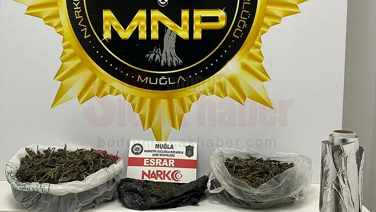 Uyuşturucu Operasyonunda Yakalanan Zanlı Tutuklandı