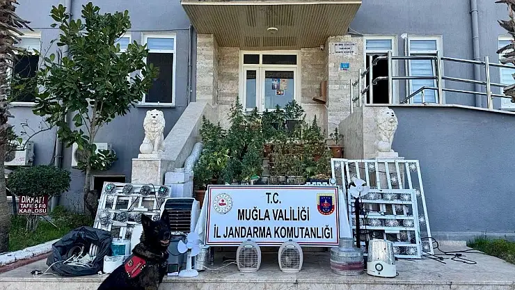 Uyuşturucu ve Silah Operasyonunda Bir Kişi Tutuklandı