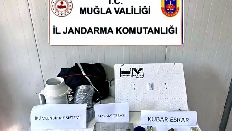 Uyuşturucu Yetiştiren Şüpheliler Operasyonlarla Yakalandı