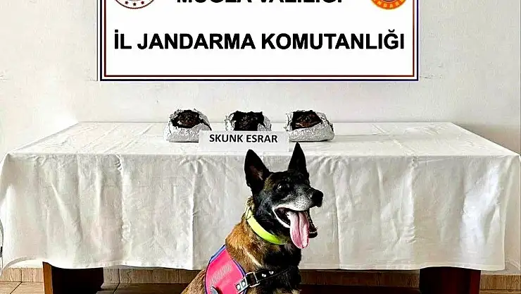 Uyuşturucuyu Tütünle Kaplamış