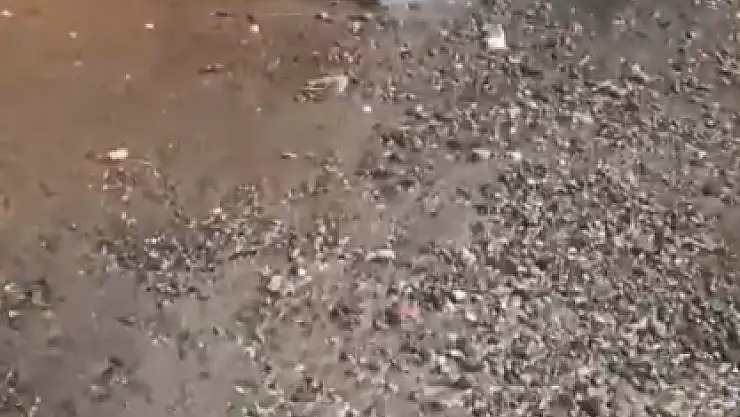 Yağışlarla Birlikte Olumsuzluklar da Başladı
