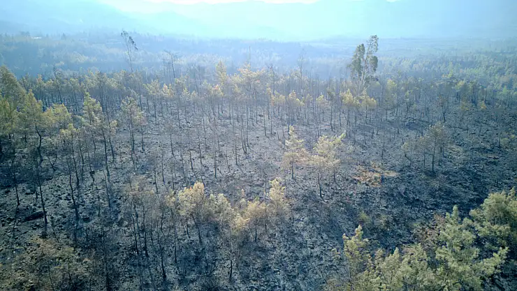 Yangın felaketinin boyutu drone görüntüleriyle ortaya çıktı