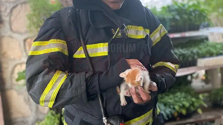 Yangın Söndürüldü Yavru Kedi Kurtarıldı.