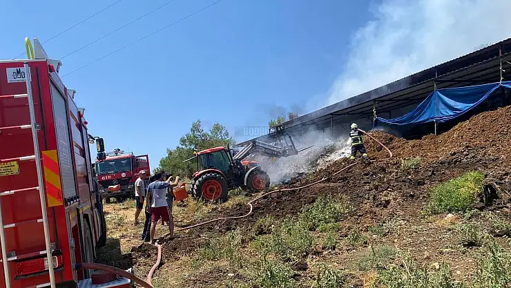Yangında 2 Büyükbaş Hayvan Telef Oldu