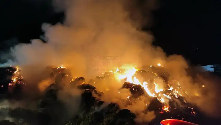 Yangında Tonlarca Yem Yandı