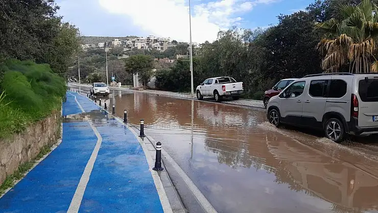 Yarımadanın Her Yerinden İhbarlar Geliyor