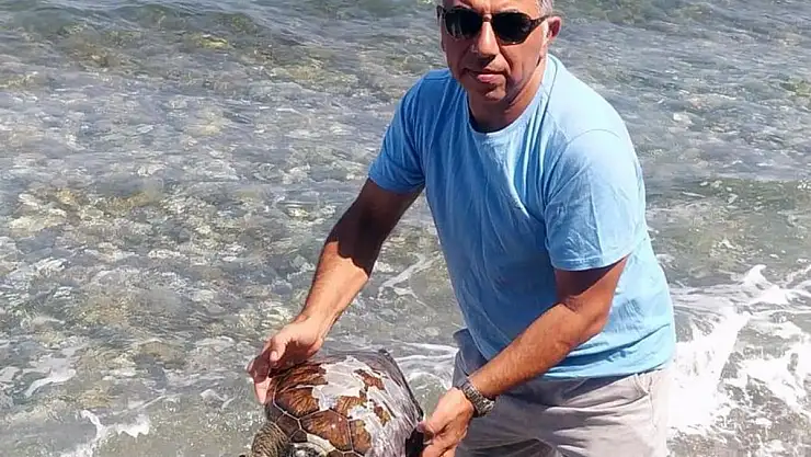 Yavru Deniz Kaplumbağa Ölüsü Kıyıya Vurdu