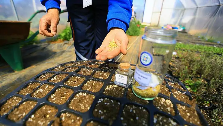 Yerel Tohumlar 2023 Yılı için Toprakla Buluşuyor