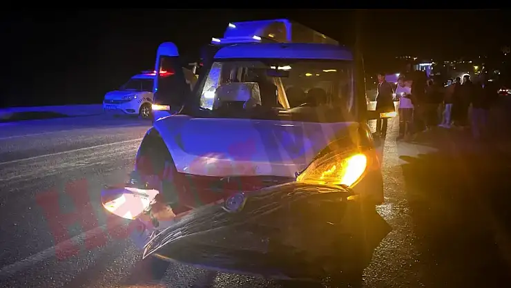 Yola Çıkan Domuza Çarpıp Telef Etti