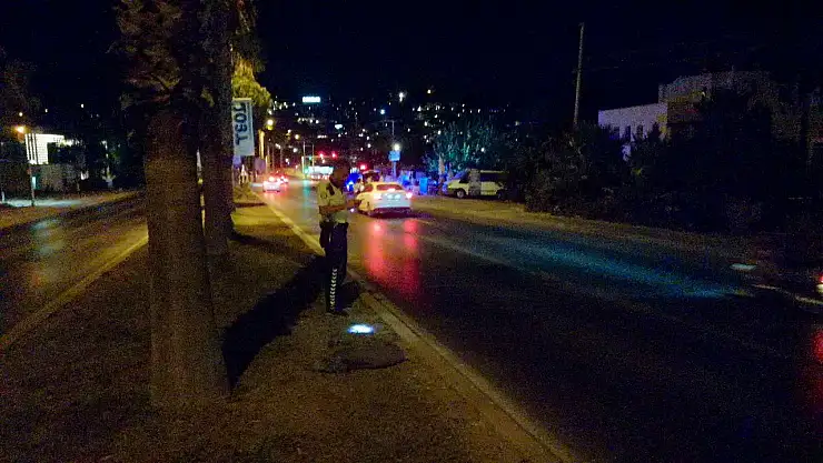 Yolda domuz kazası ! araç manevra yapamadı !