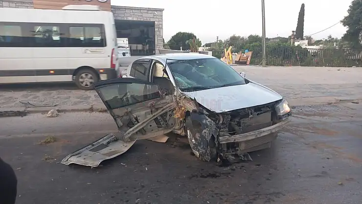 Yolda Kayan Araç Palmiyeyi Devirip Durabildi