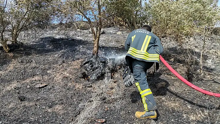 Zeytinlik ve makilik alanda çıkan yangın söndürüldü