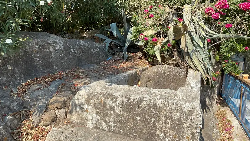 Bodrum tarihine sahip çık! Kaya mezarları saygı bekliyor