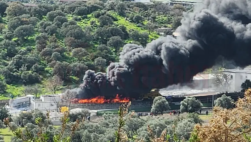 Bodrum'da Çıkan Yangına Müdahale Devam Ediyor