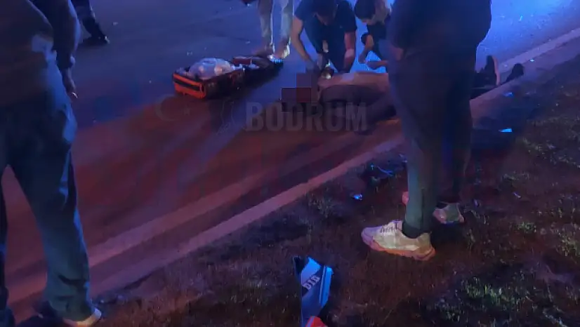 Domuza Çarpan Kamyon Kazaya Sebep Oldu, 2 Yaralı