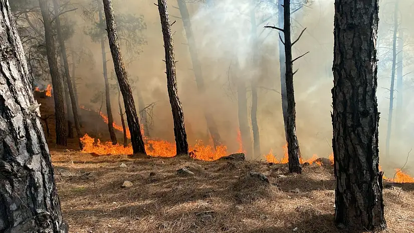 İki ilçede arka arkaya yangın alarmı