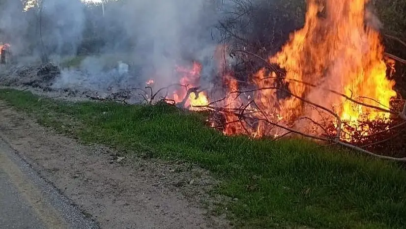 Milas'taki orman yangınları büyümeden söndürüldü