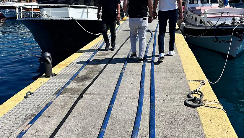 Pislik içinde mavi tur