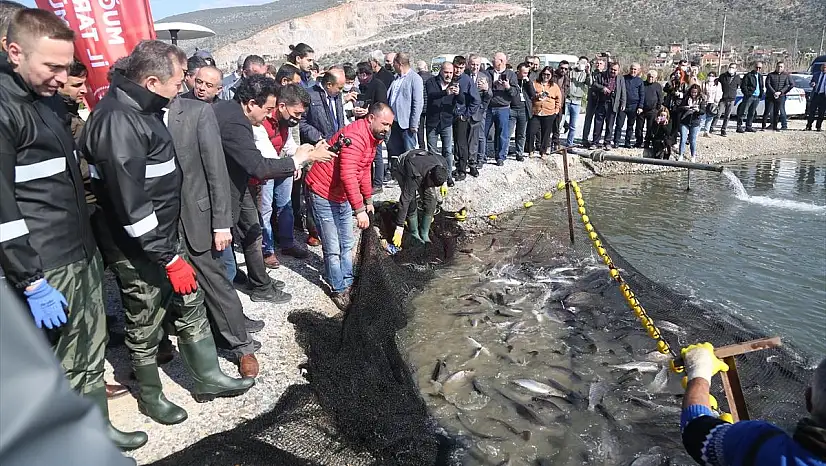 Tarladan Balık Hasadı Yapıldı