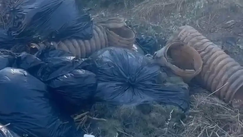 TÜRSAB Başkanı'ndan Çöp İsyanı: Mahallemiz Kirletiliyor