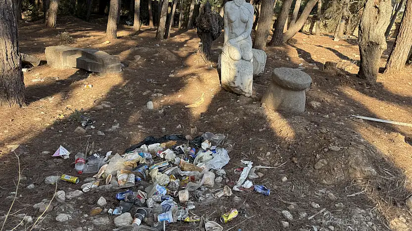 Ağaçlık Alanda Bakımsızlık ve Çevre Kirliliği Endişe Yarattı !