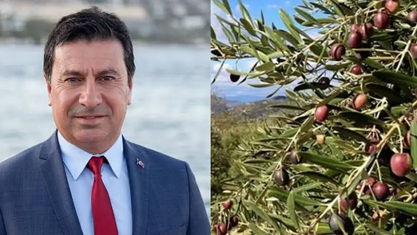 Ahmet Aras: 'Muğla kömür için feda edilemez'