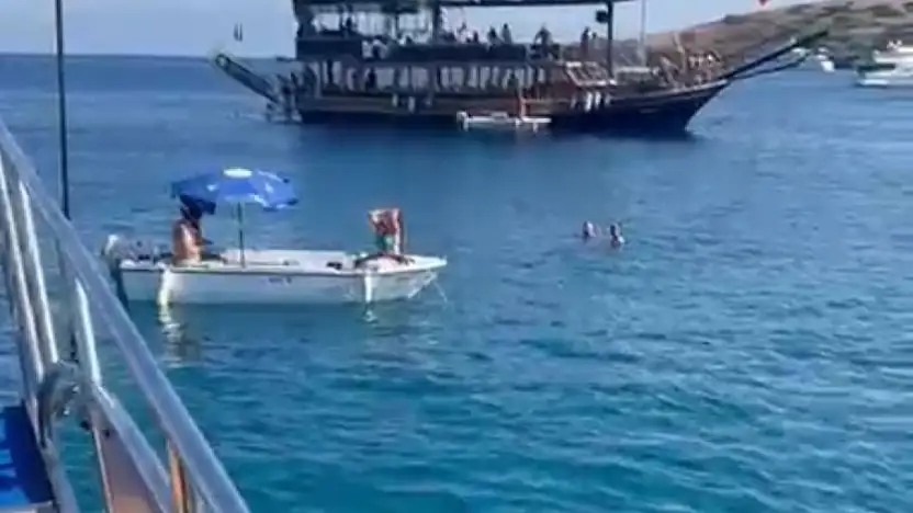 Akvaryum koyundaki olayın yeni görüntüleri ortaya çıktı !