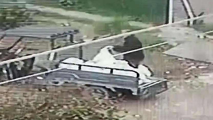 Araziyi çöplüğe çevirdi 50 bin TL ceza ve gözaltı