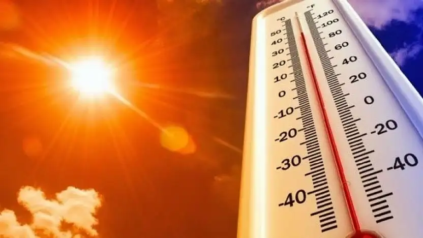 Aşırı sıcaklar orman yangını riskini çoğaltıyor