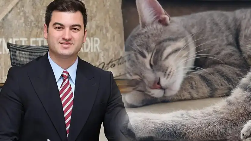 Başkan Mandalinci'den vahşete sert tepki