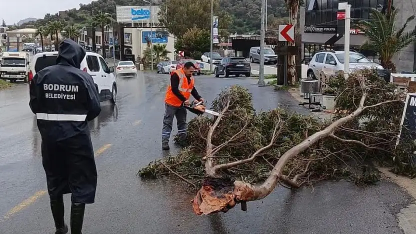 Başkan Mandalinci  fırtınaya karşı teyakkuzdaydık