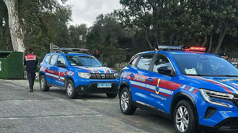 Bodrum'da 2 köpeğin öldürülmesi olayında savcılık itirazı sonrası tutuklama talebi