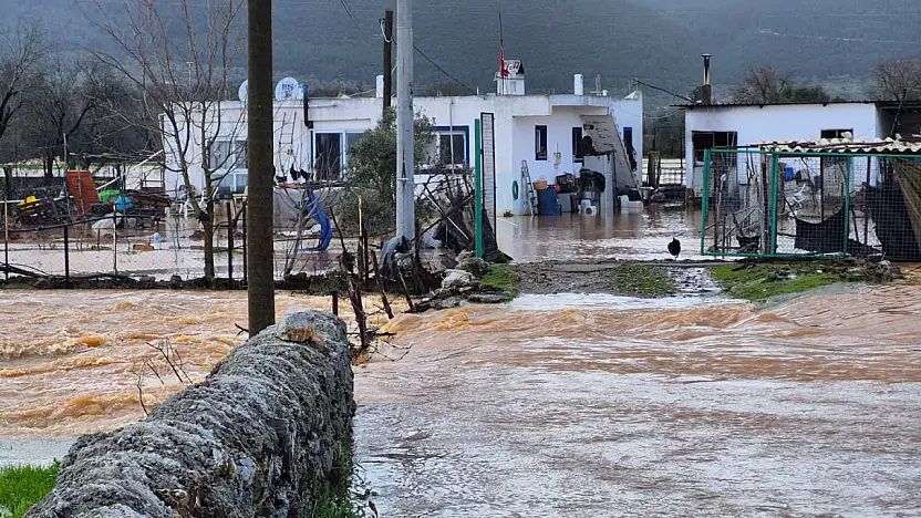 Bodrum'da 60 tavuk sele kapıldı