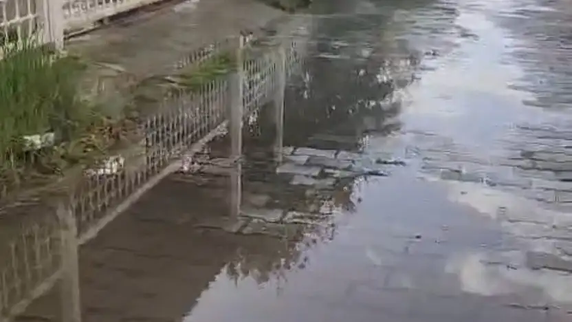 Bodrum'da foseptik denize akıyor