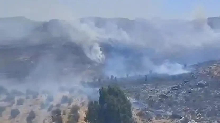 Bodrum'da otluk alanda çıkan yangın büyümeden söndürüldü