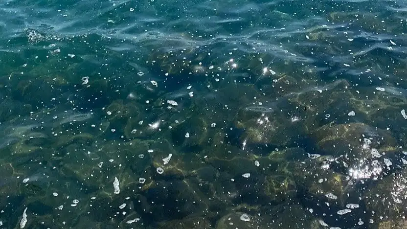 Bodrum'da sintine krizi büyüyor !