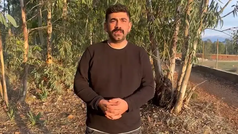 Bodrum'da viral olan kedi videosu üzerine Kaya'dan duyarlılık çağrısı