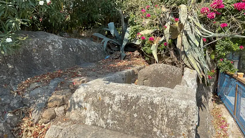 Bodrum tarihine sahip çık! Kaya mezarları saygı bekliyor