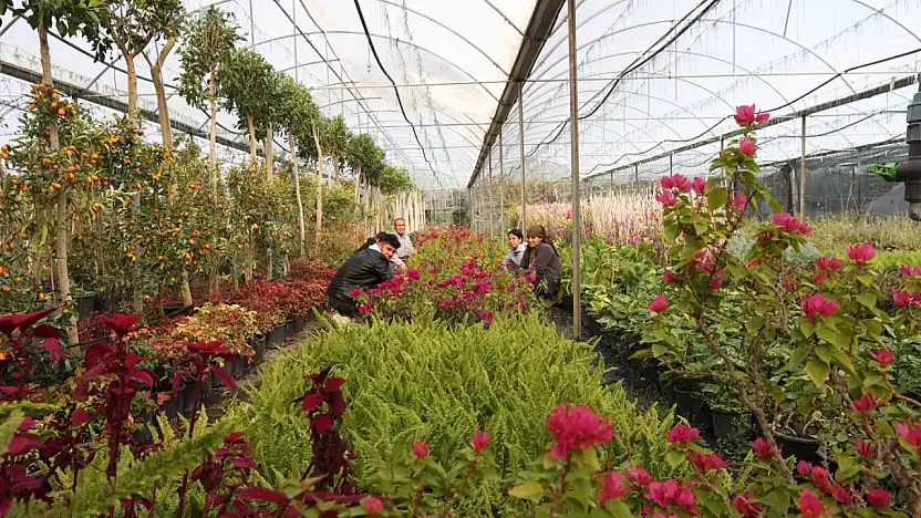 Büyükşehir'den yerel kalkınmaya güçlü katkı