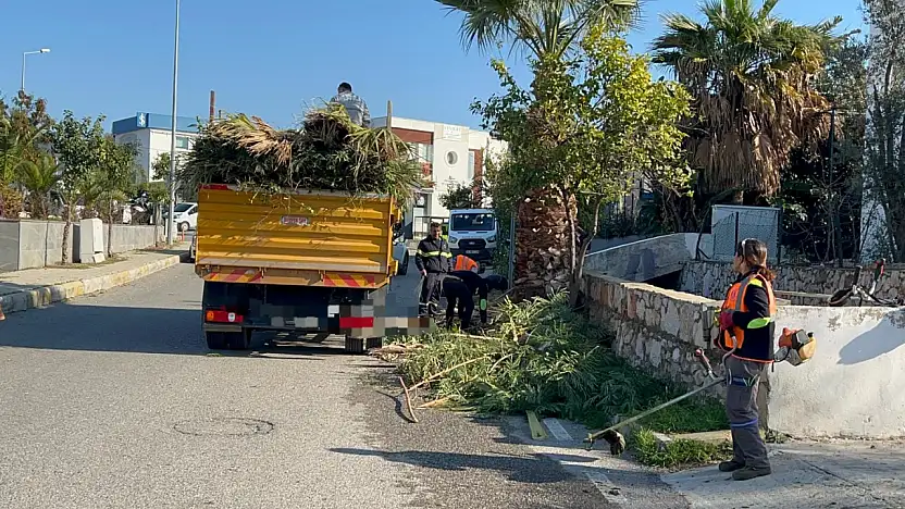 Caddelerde kapsamlı çevre düzenleme çalışması