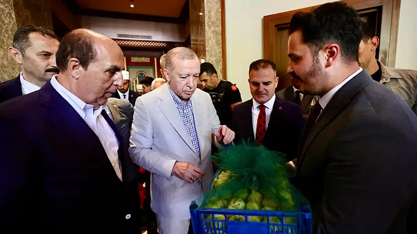 Cumhurbaşkanı Erdoğan, ilk inciri Ayaydın'a uzattı