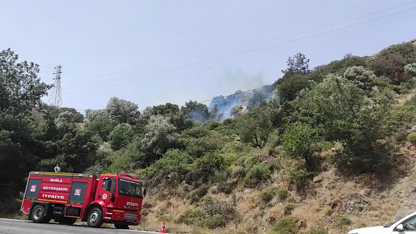 Dağbelen Değirmenler Mevkiinde Otluk ve Ağaçlık Alan Alevlere Teslim