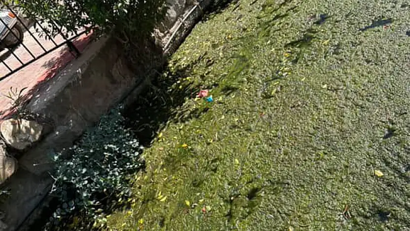 Denize akan derelerin pisliği tepkiye yol açtı !