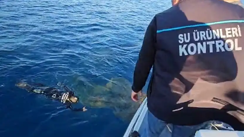 Denizlerdeki hayalet ağlar temizleniyor