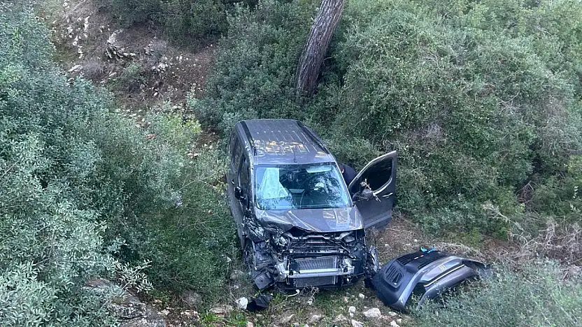 Direksiyon hâkimiyetini kaybeden sürücü ormanlık alana uçtu