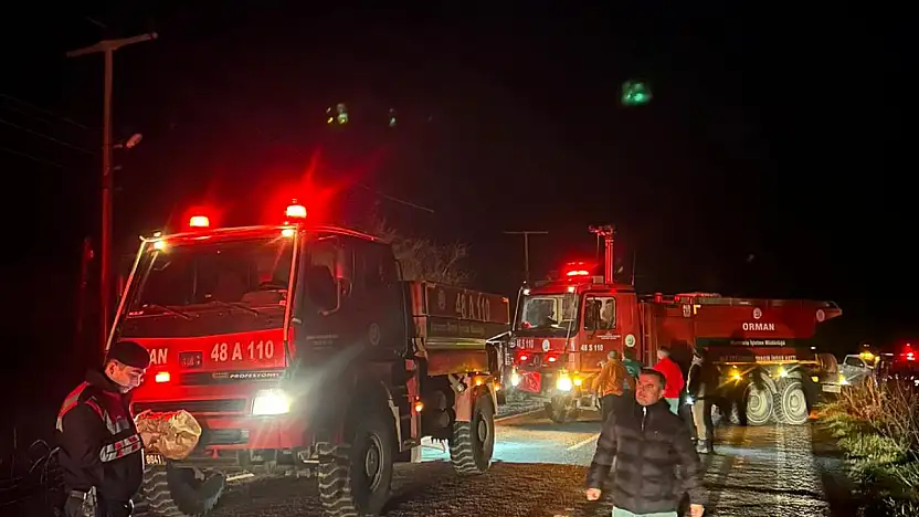 Elektrik hatları yangına neden oldu