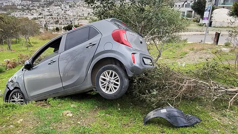 Eskiçeşme'de korkutan kaza: Otomobil ağacı devirerek durdu